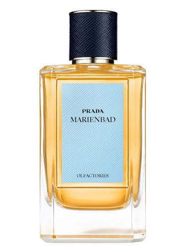 prada marienbad perfume